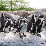 Mystic Aquarium