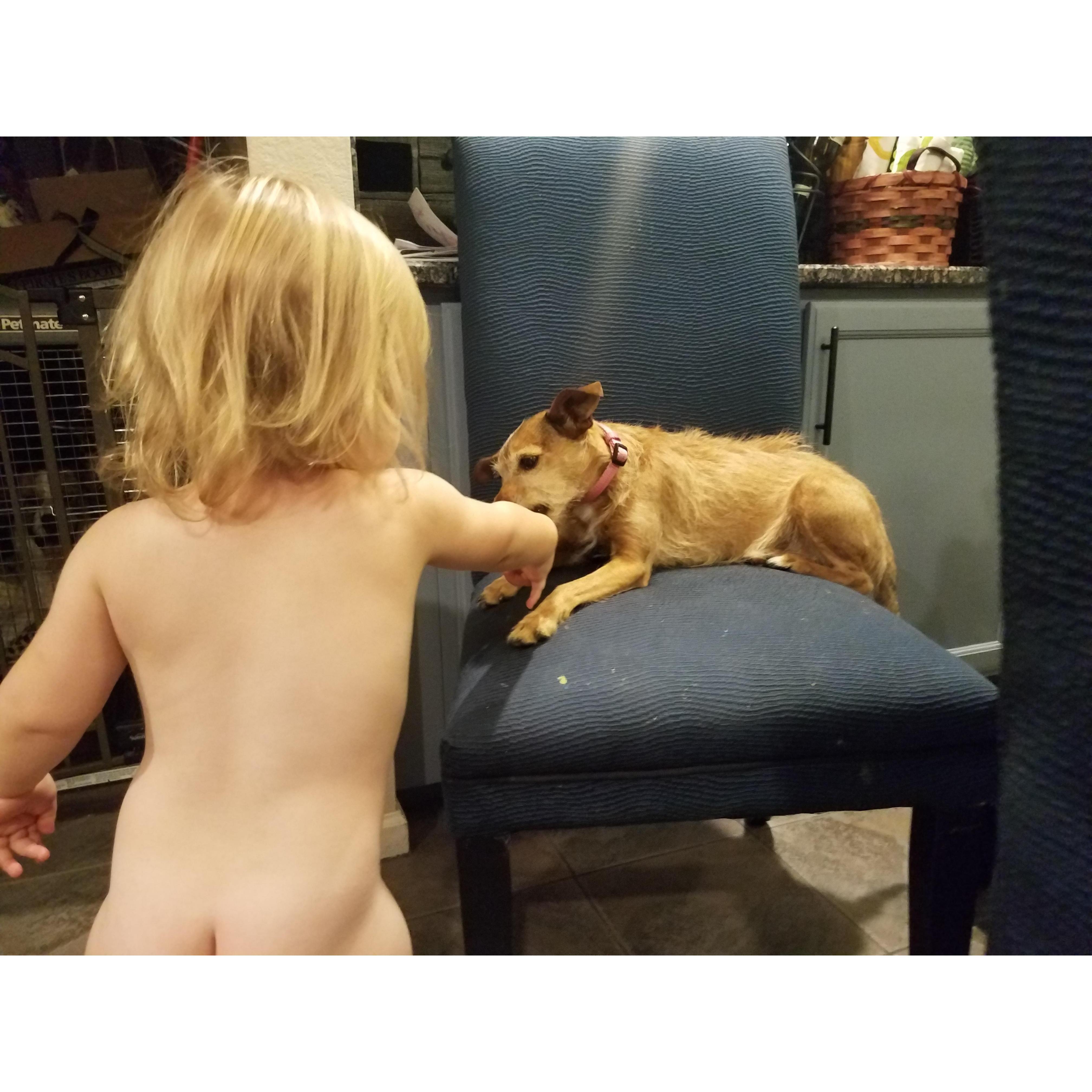 Libby loves feeding cricket, despite guaranteed occasional loud bark in her face