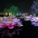 Atlanta Botanical Garden