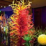 Chihuly Collection