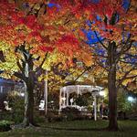 Ligonier