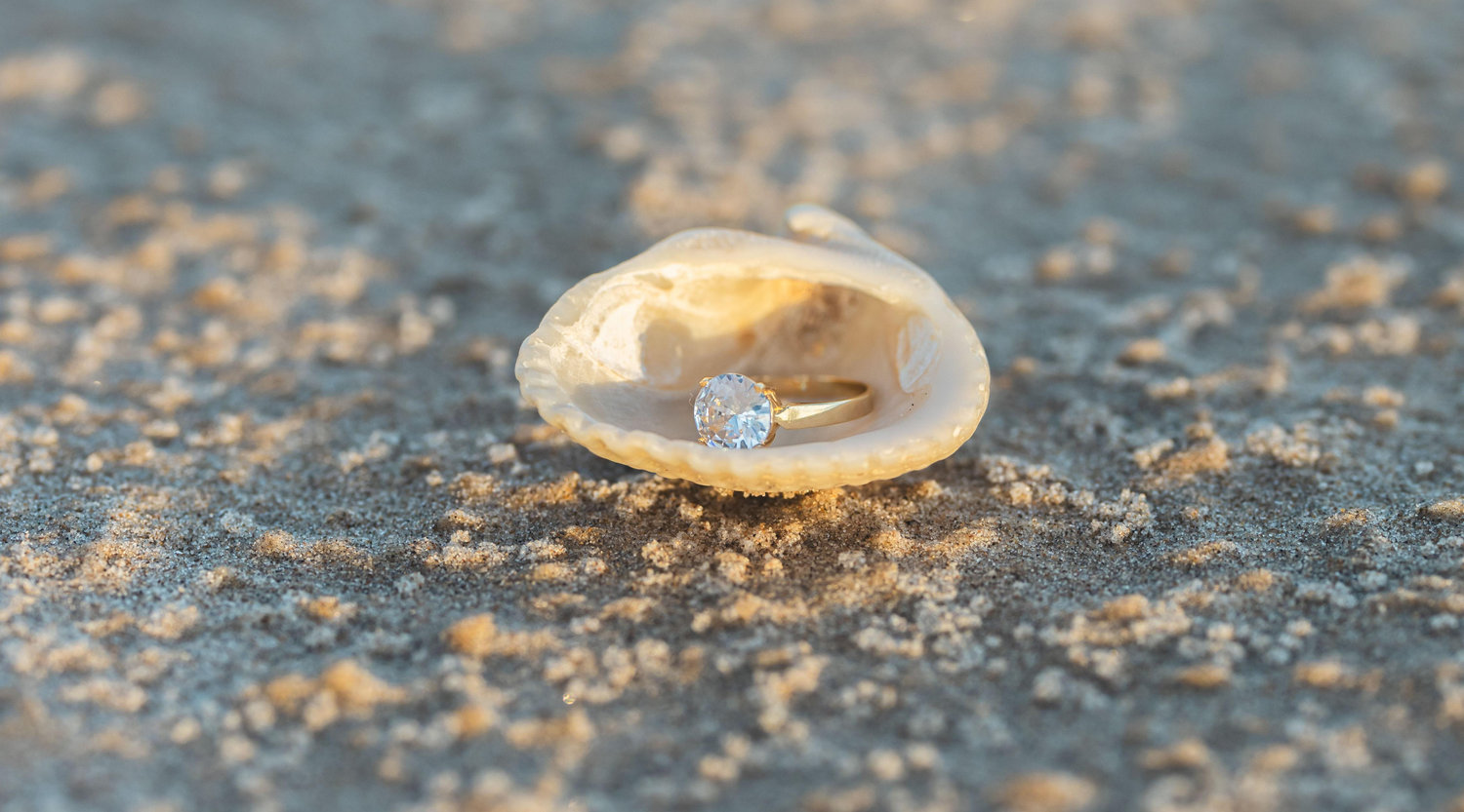 The Wedding Website of Isaac Villalon and Karen Maldonado