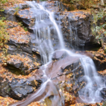 Log Hollow & Discovery Falls Trailhead