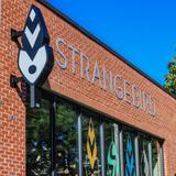 Strangebird