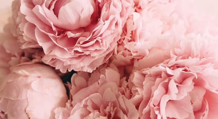 The Wedding Website of Tegan Stephens and Bee Danh