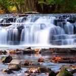 Corbett's Glen Nature Park