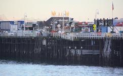Santa Cruz Wharf