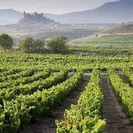 Rioja Winery Tour on our Honeymoon