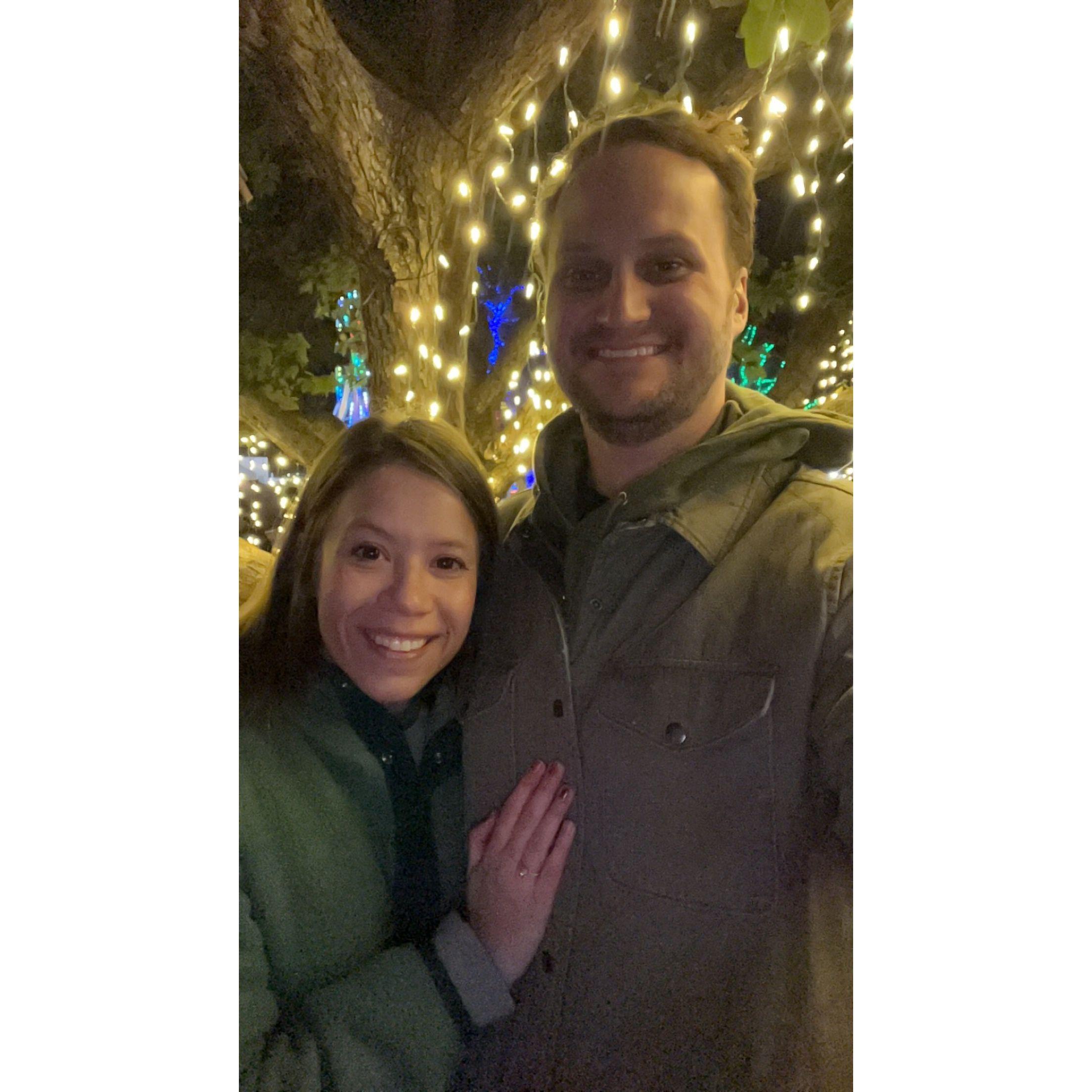 Trail of Lights 2023