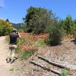 Leaning Pine Arboretum