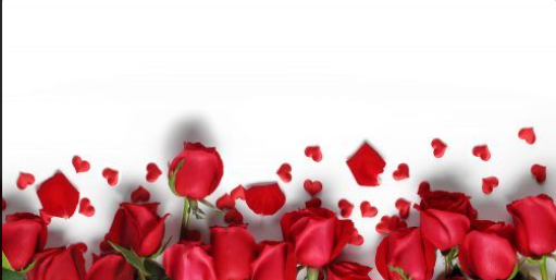 9f05f16c-7f4c-47ef-8391-91e8f5e009a6