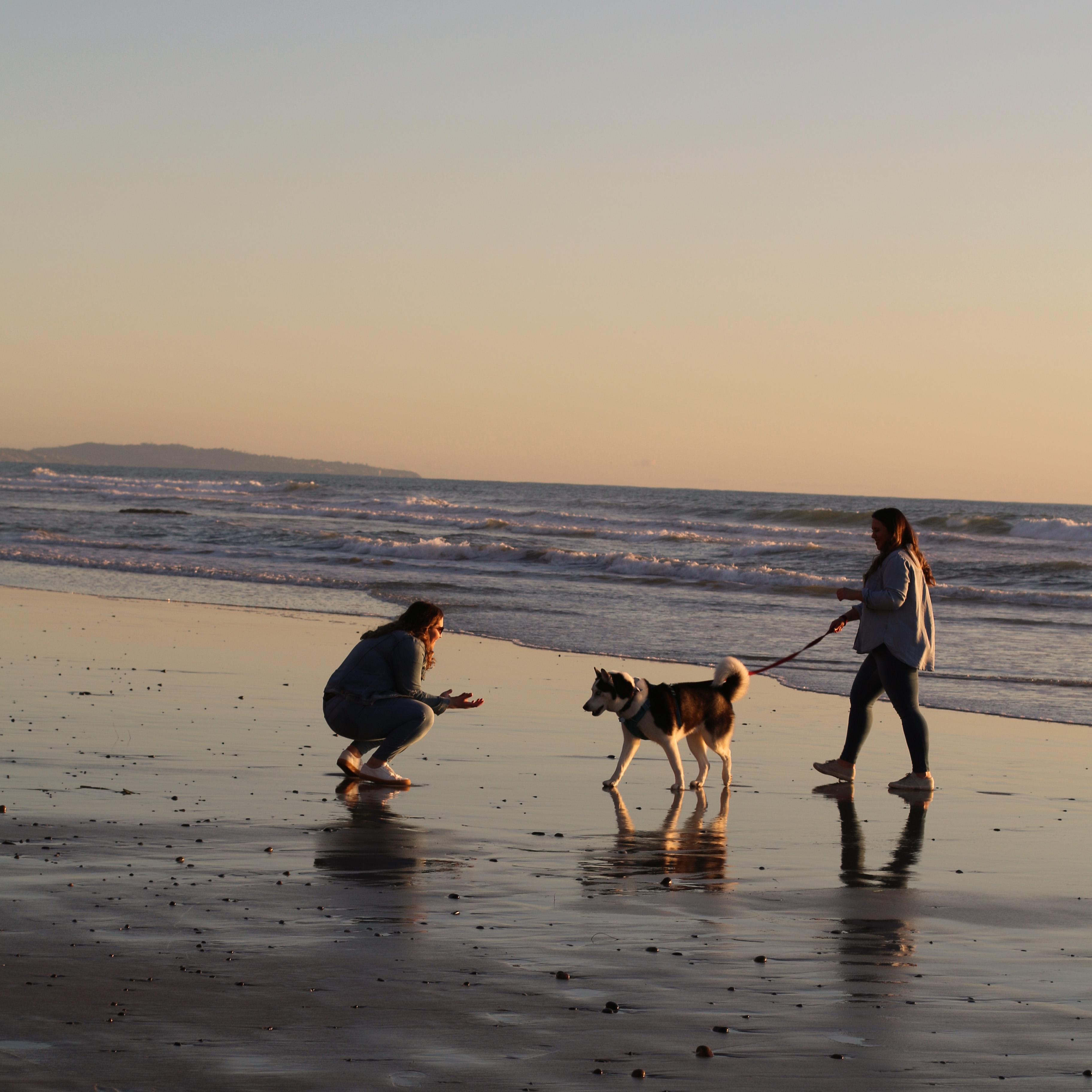 "Christmas" Photos - Carlsbad 2019