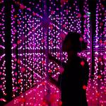 Wonderspaces