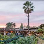 Flora Farms