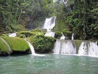 YS Falls and Zipline