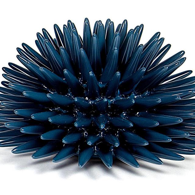 Riccio Caprese Steel Blue Sea Urchin - Large