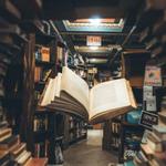 The Last Bookstore