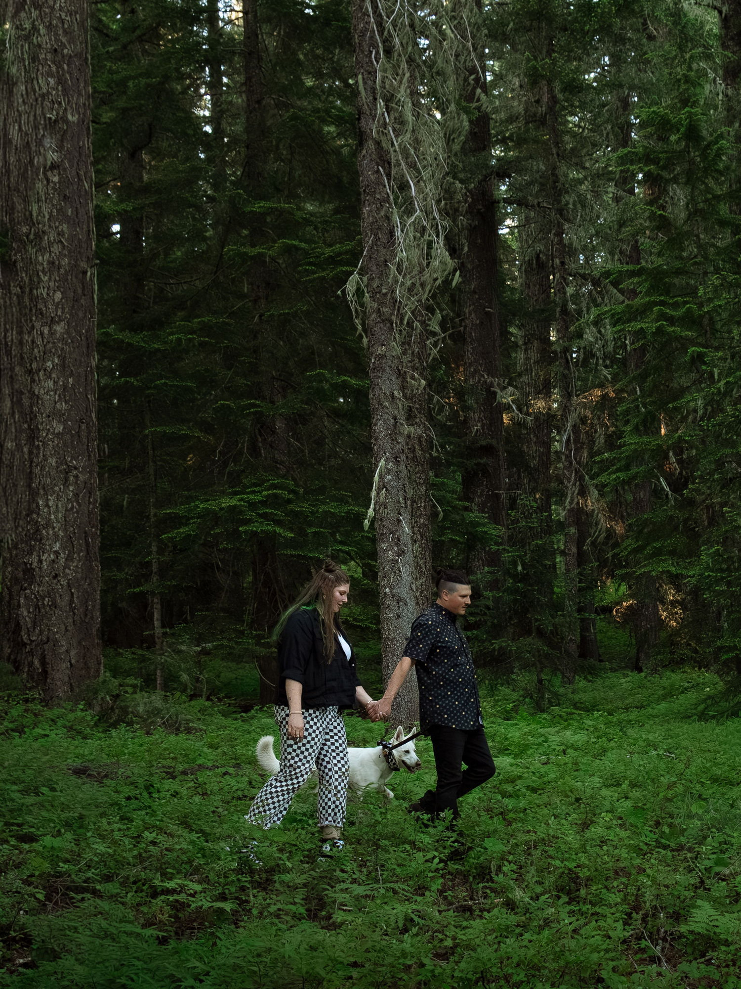 The Wedding Website of Cydney Beckwith and Dylan Hamel