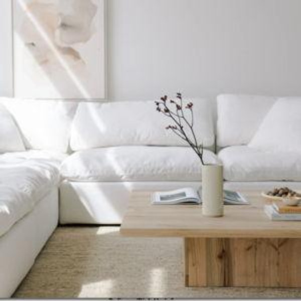 Our new family sofa