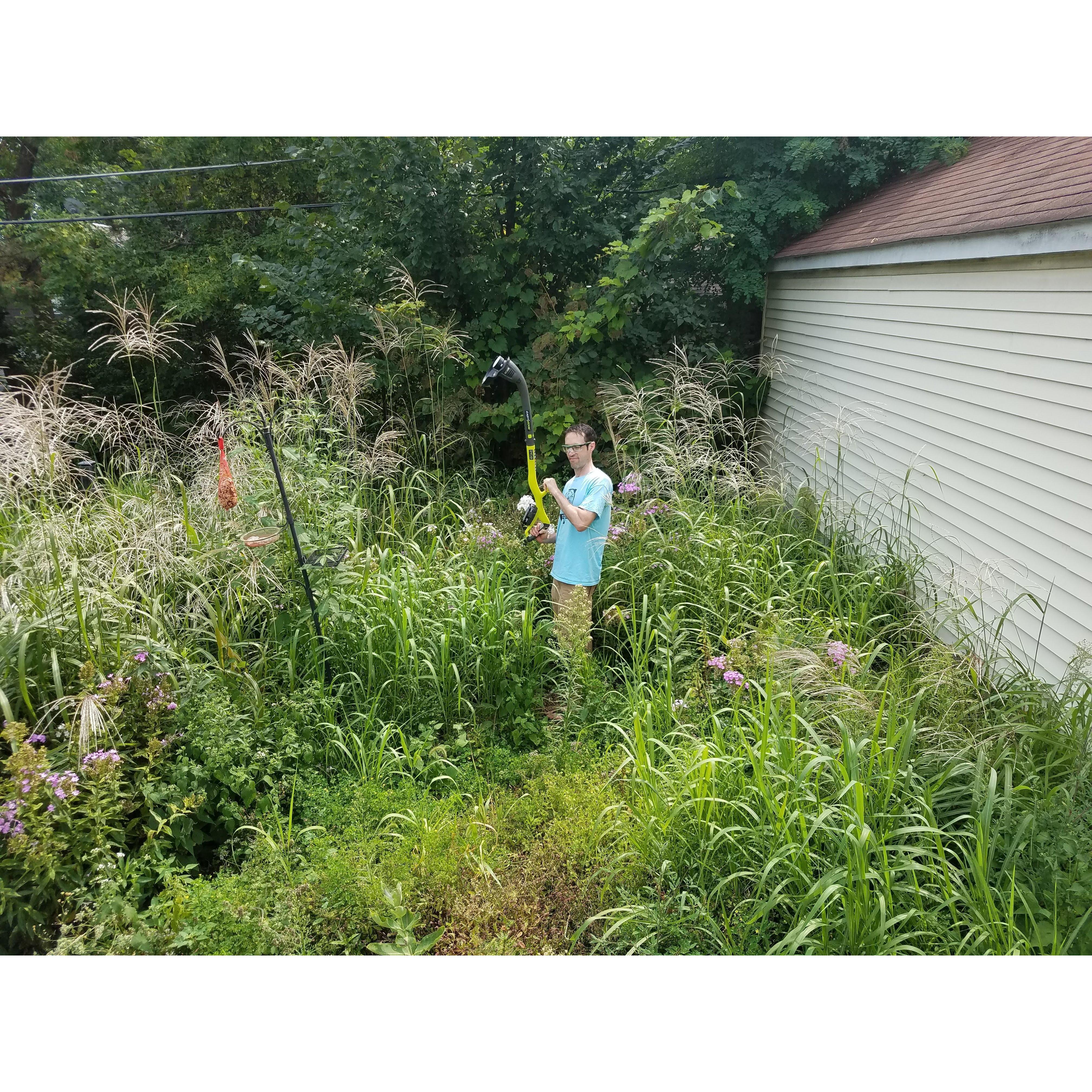 The backyard was pretty much a jungle.