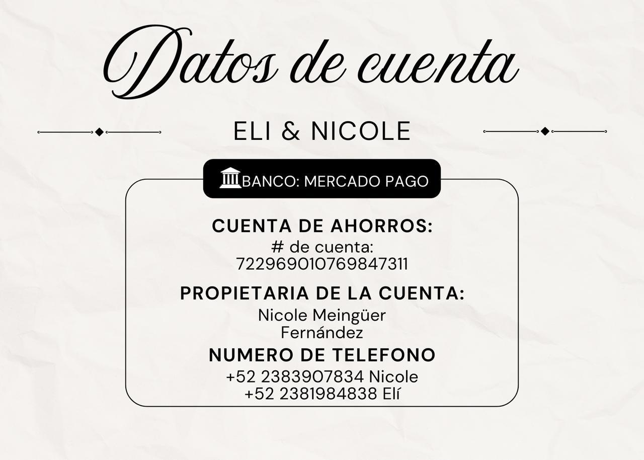 The Wedding Website of Nicole Meingüer Fernández and Elí Raldami Paredes Botello