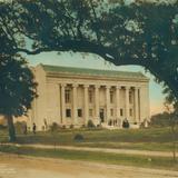 Houston Museum of Fine Arts