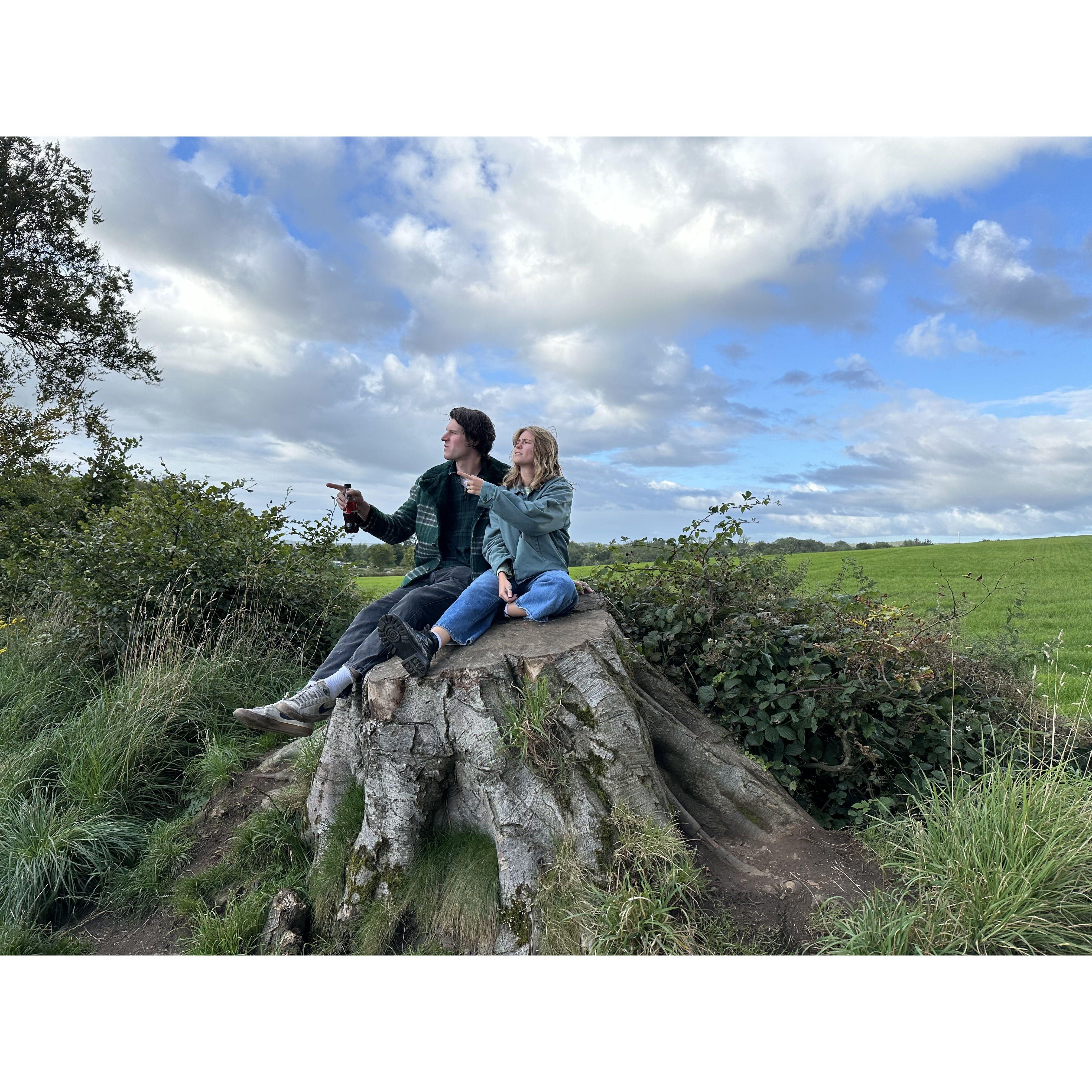 dark hedges, ireland