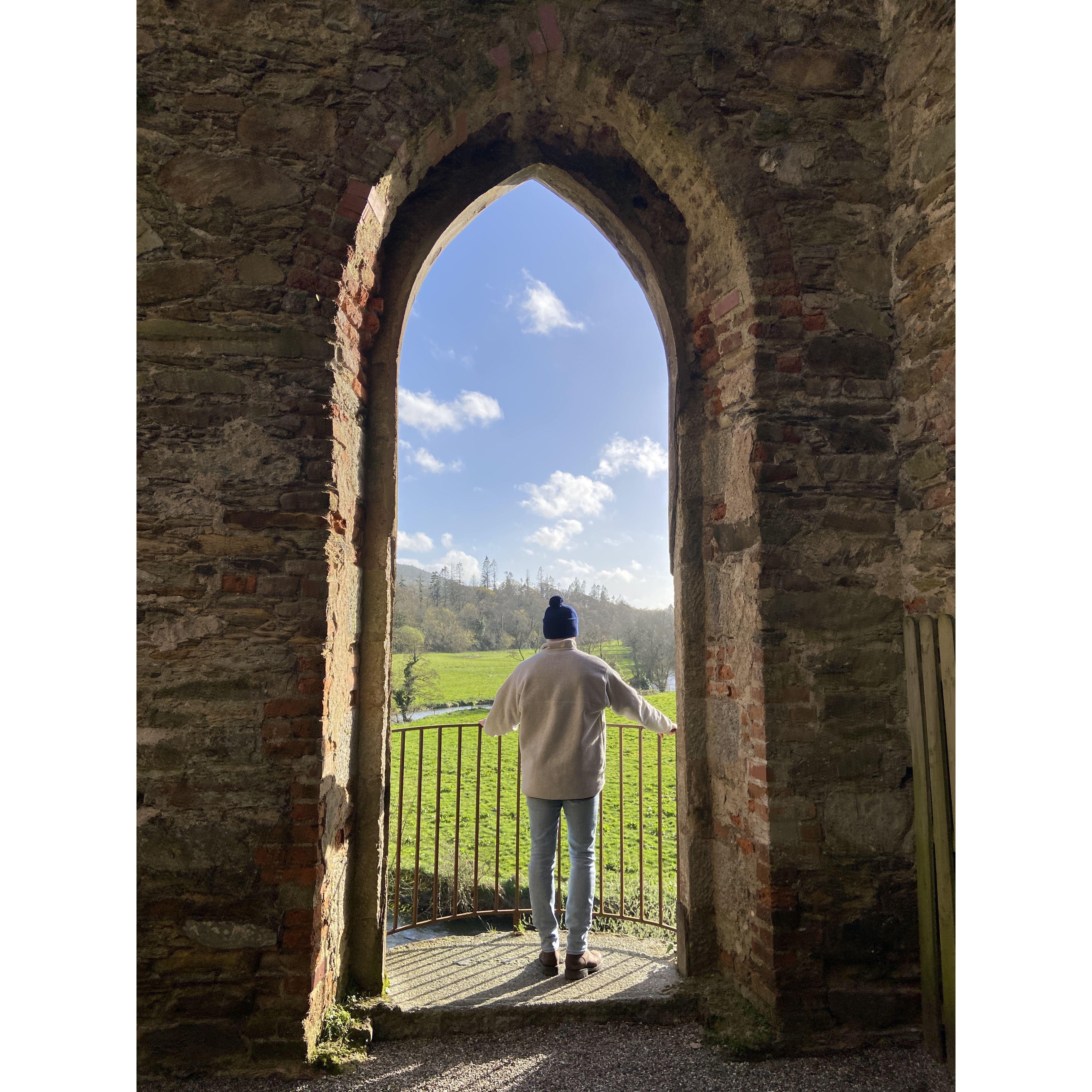 Wilton Castle ruin views.  Wilton Castle.  4/7/24