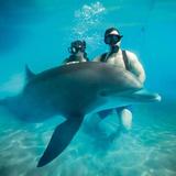 Resort Activity Schedule - Ambar