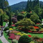 JC Raulston Arboretum