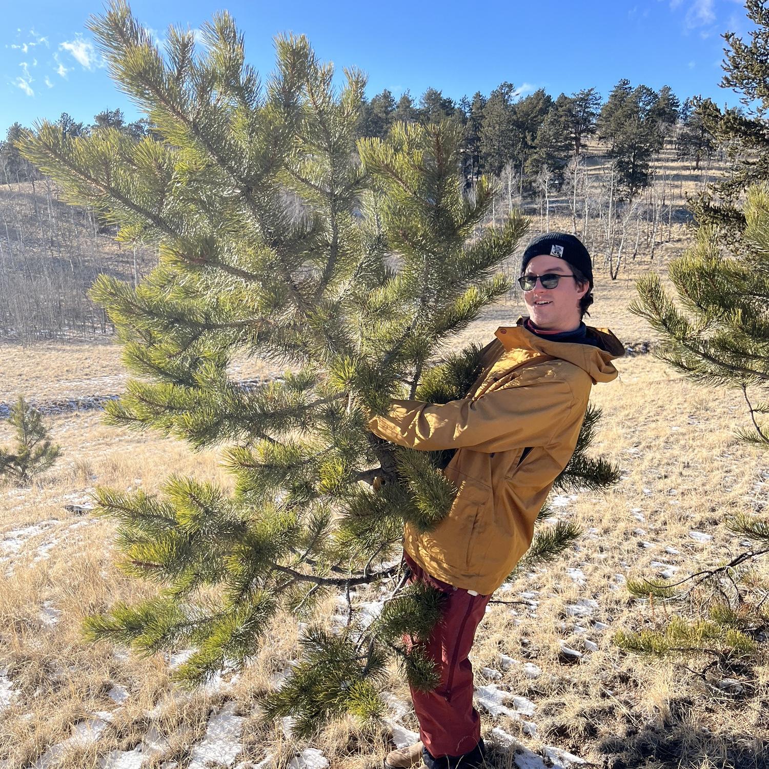 Our first Christmas tree! We even cut it down ourselves!