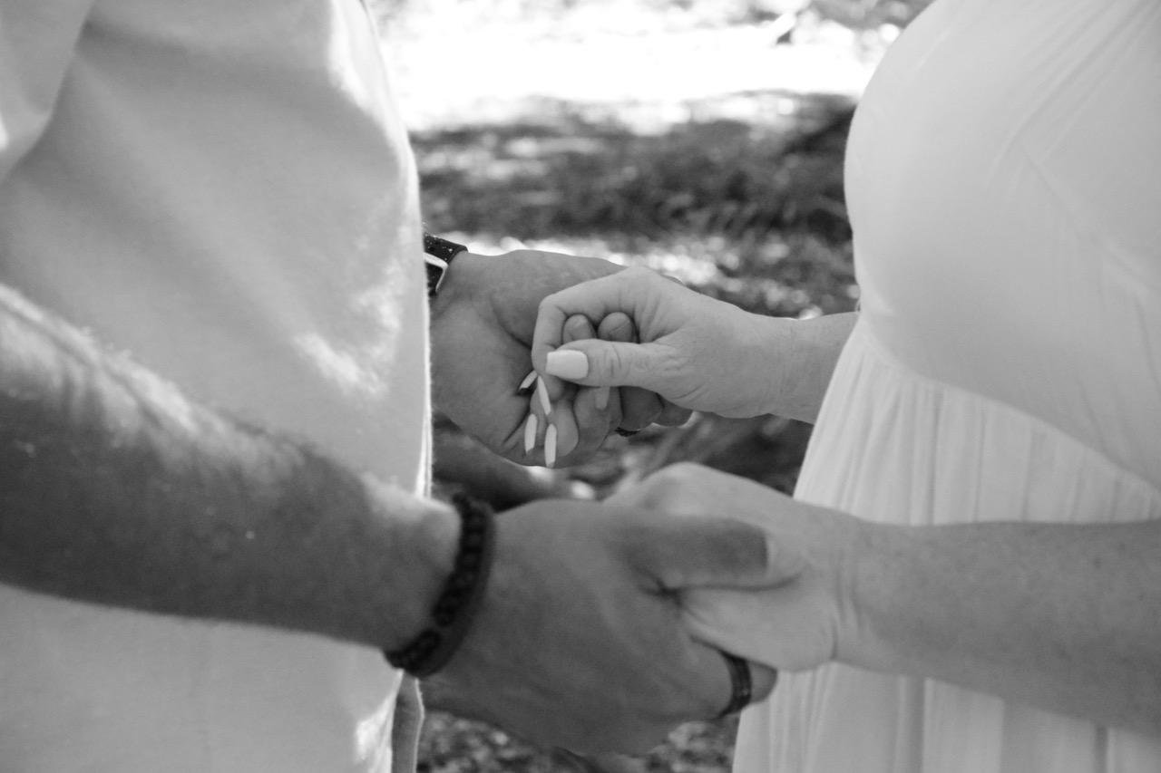 The Wedding Website of Dana Beckwith and Frank Silva