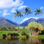 Maui Tropical Plantation
