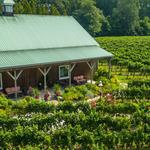 Cape May Winery