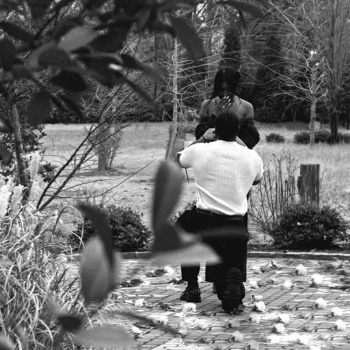 The proposal | 12.28.2026