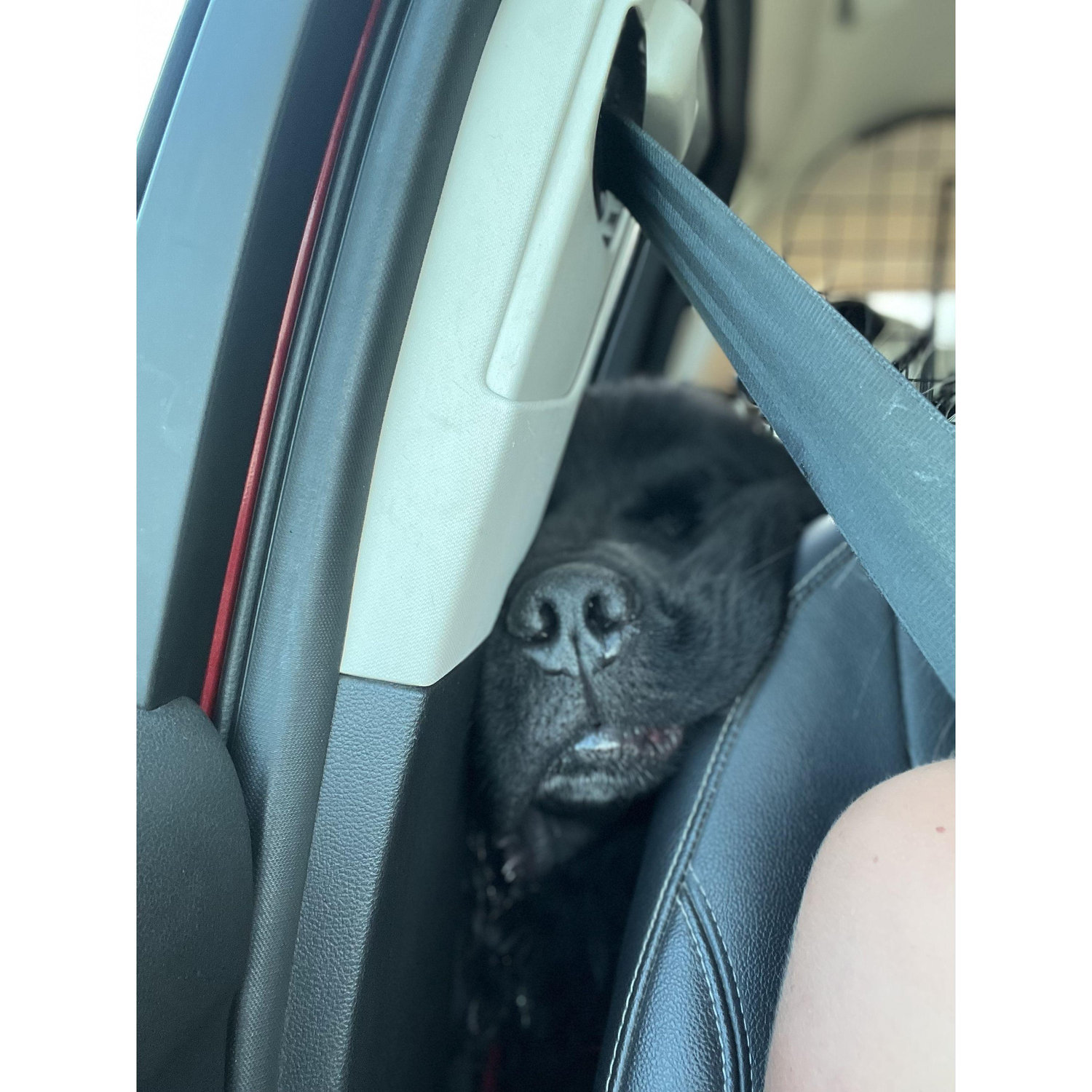 on the road again