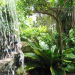 Cleveland Botanical Garden