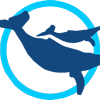 Whale Watching