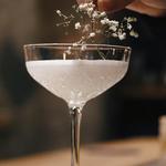The Toledo Spirits Company