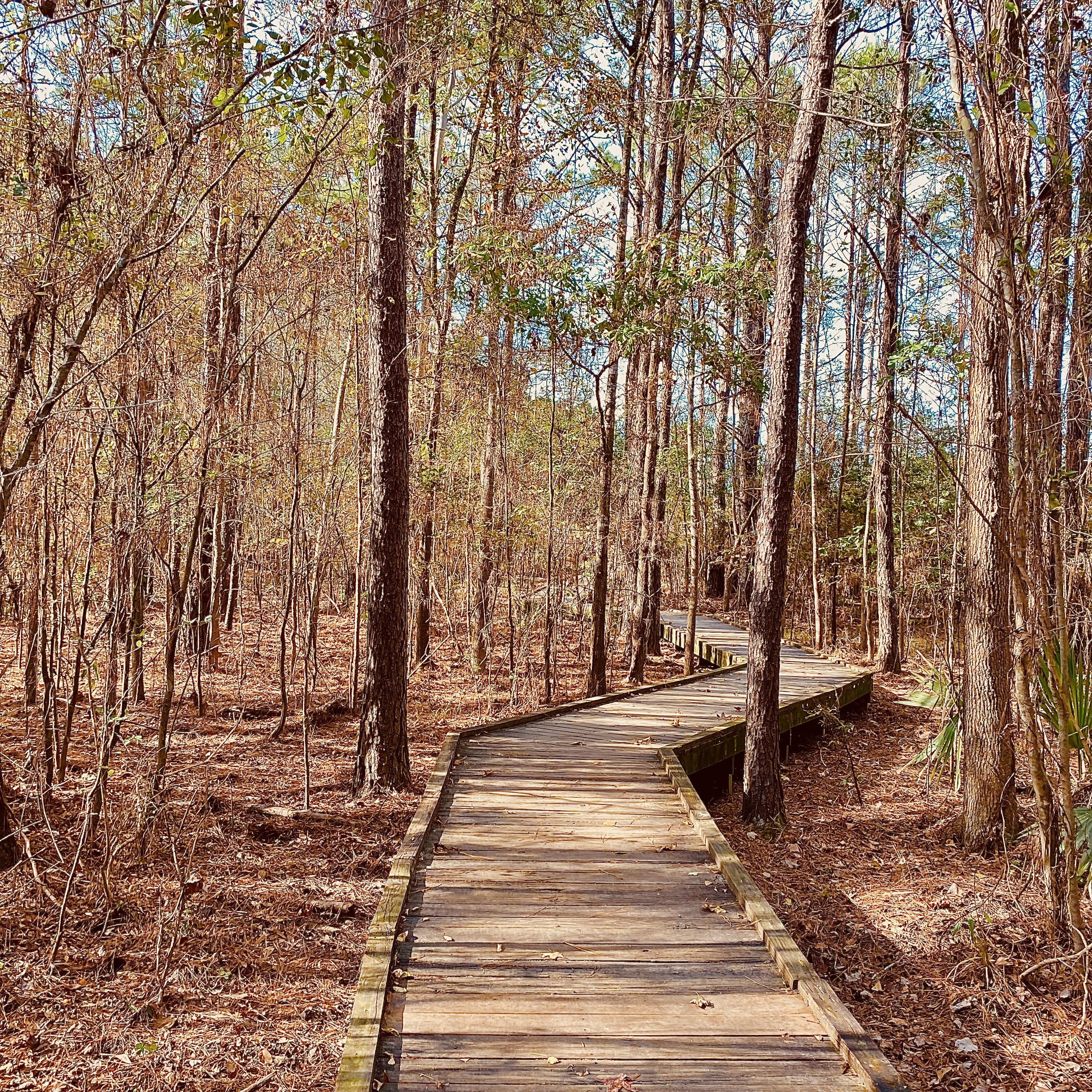 Faith  , Grace , Love are the paths we have decided to walk . We love to enjoy the walks and contemplate every detail of our Creator God .