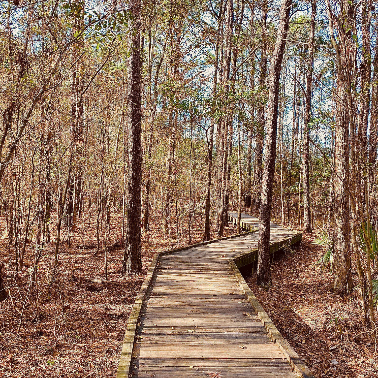 Faith  , Grace , Love are the paths we have decided to walk . We love to enjoy the walks and contemplate every detail of our Creator God .