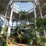 Lewis Ginter Botanical Garden