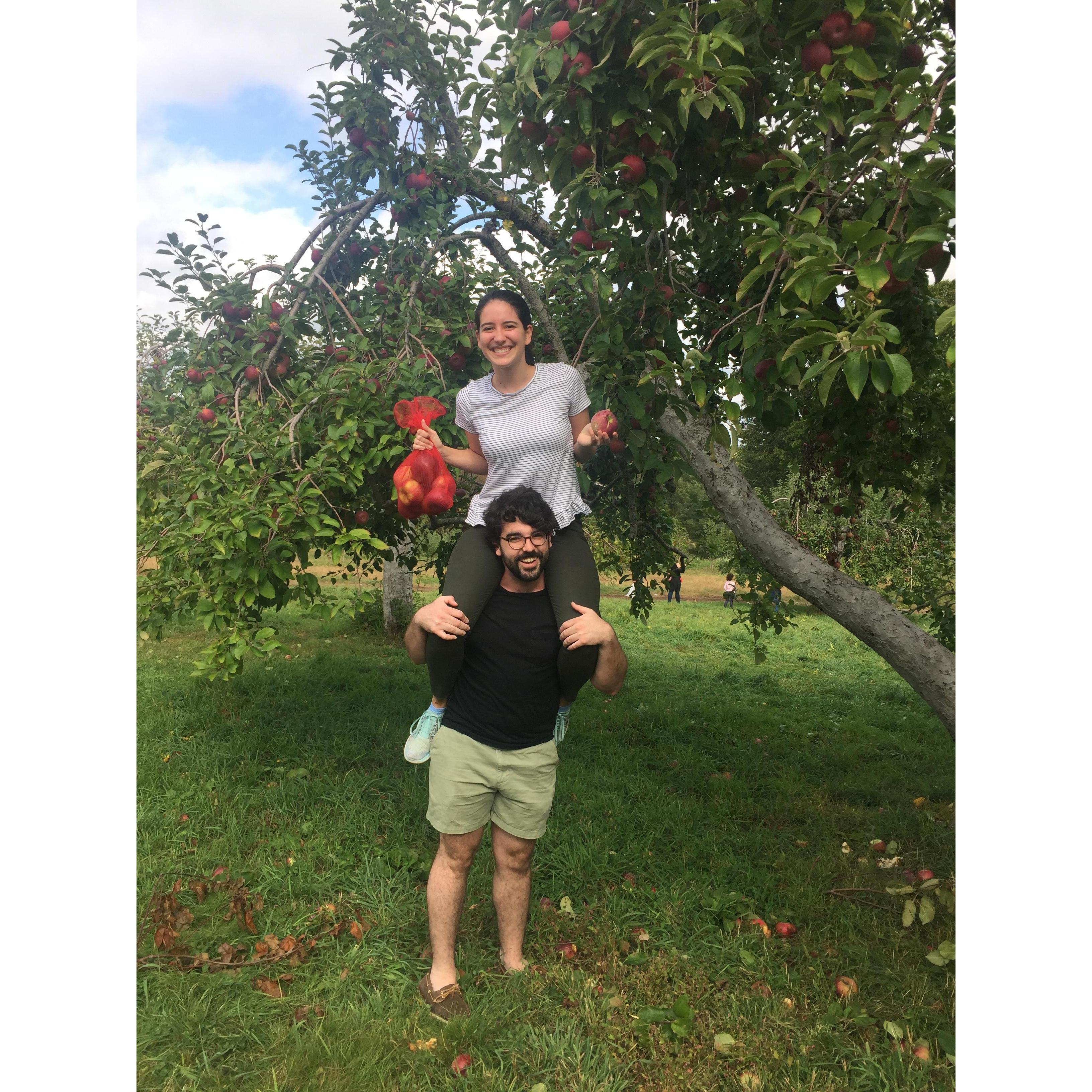 Apple picking in Beacon