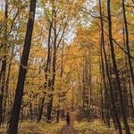 Macnamara Nature Trail