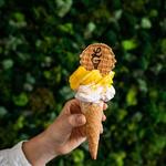 Lamonte Gelato