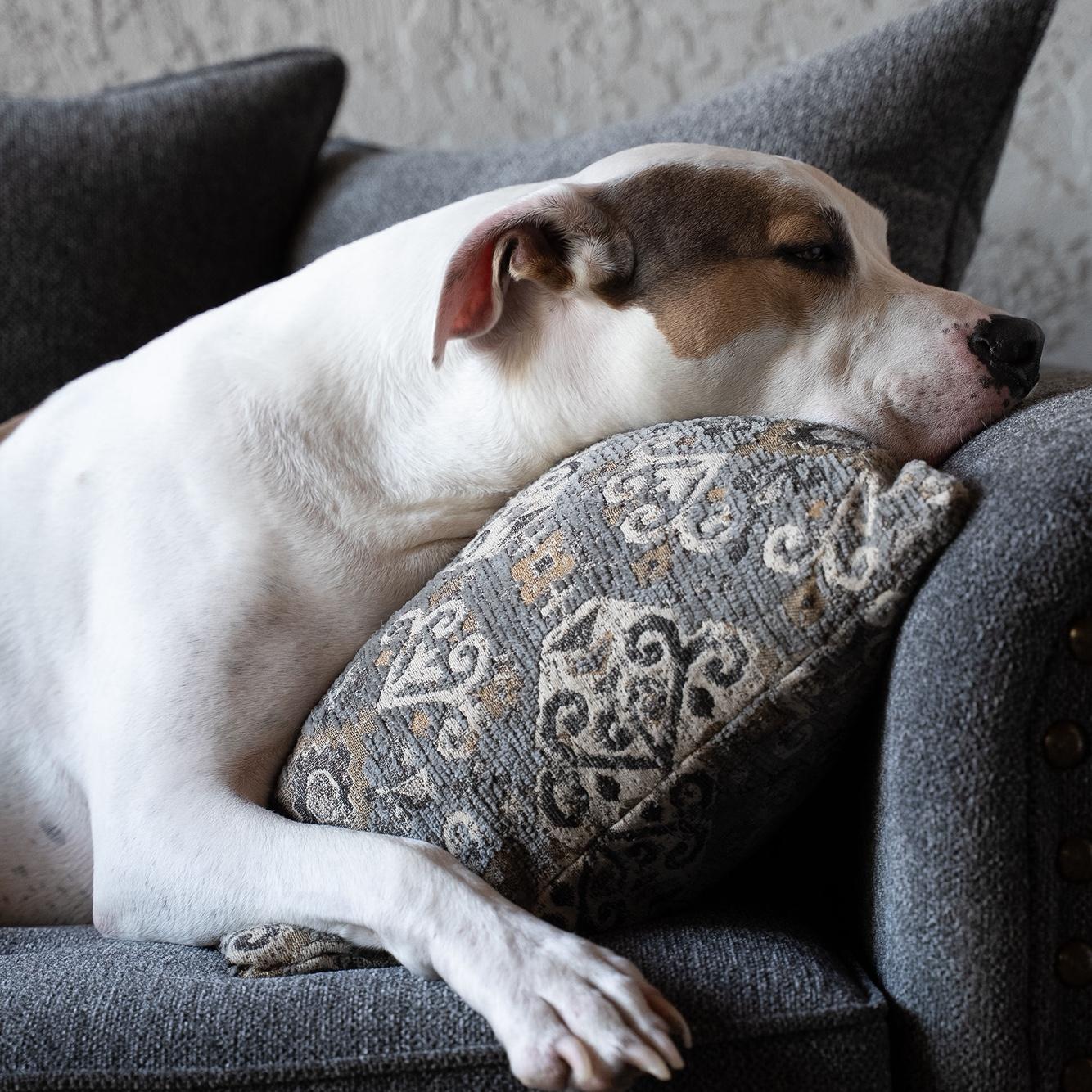 Zeek showing us how it’s done.  💤