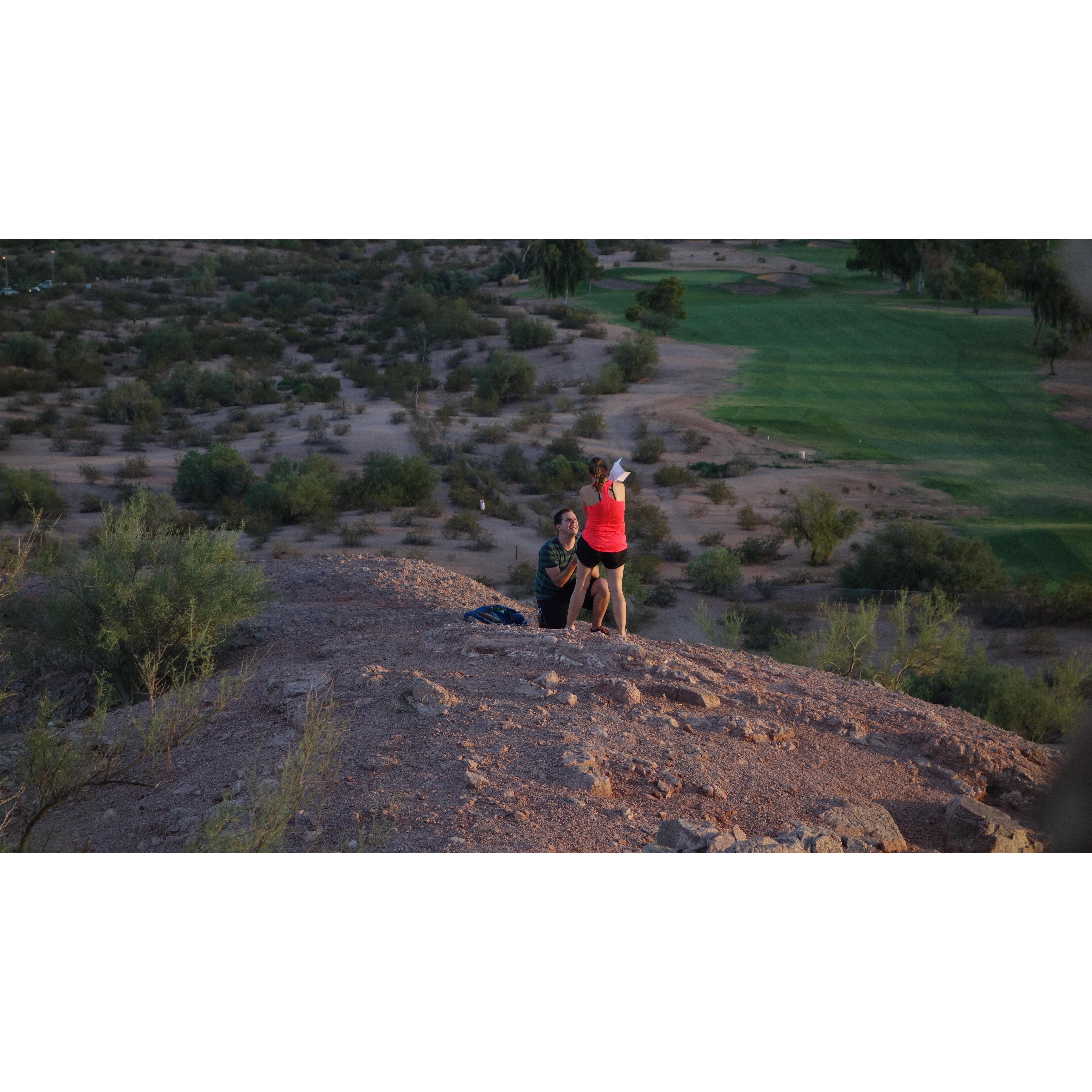 The Proposal :)