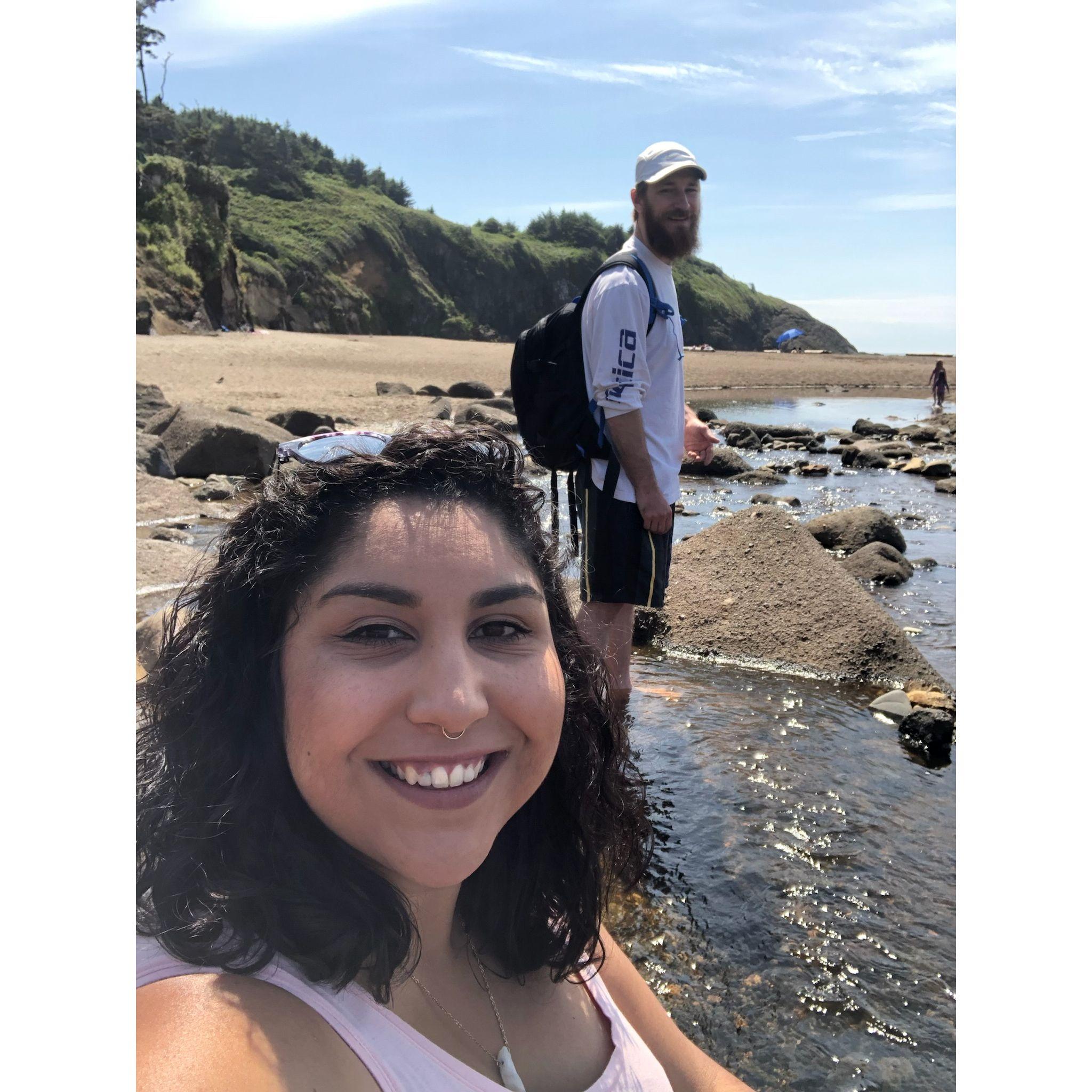 Rock hunting at Fogarty Beach