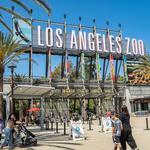 Los Angeles Zoo