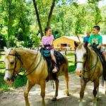 Dogwood Canyon Nature Park Horse Back Riding